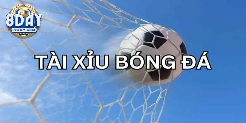 Điểm danh những kèo cược được sử dụng nhiều